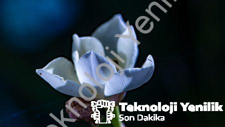 Hologramların Yaygınlaşması
