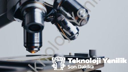 Kuantumun Şaşırtıcı Dünyasında Bioylojiye Yolculuk