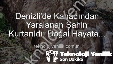 Denizli’de Kanadından Yaralanan Şahin Kurtarıldı: Doğal Hayata Yeniden Kazandırılacak