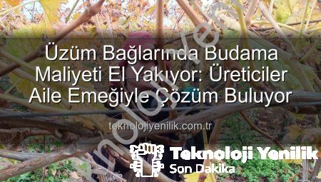 Üzüm Bağlarında Budama Maliyeti El Yakıyor: Üreticiler Aile Emeğiyle Çözüm Buluyor