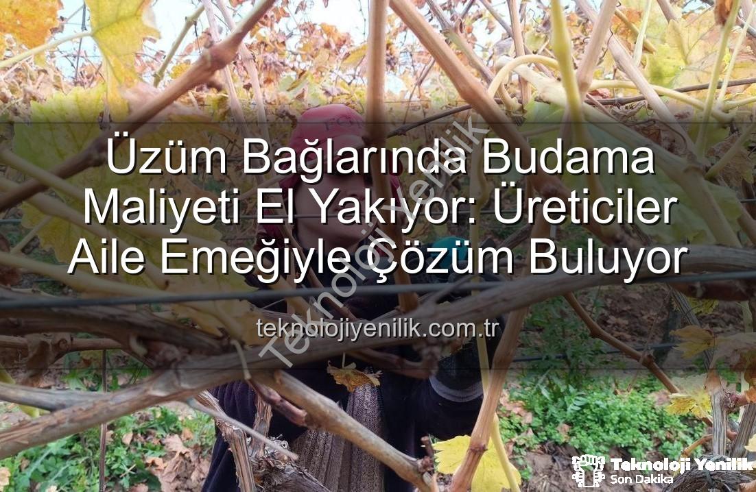 budama maliyeti - Üzüm Bağlarında Budama Maliyeti El Yakıyor: Üreticiler Aile Emeğiyle Çözüm Buluyor
