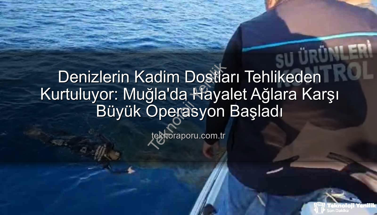 hayalet ağ - Denizlerimizin Kabusu 'Hayalet Ağlar' Temizleniyor: Muğla'da Nefes Kesen Operasyon