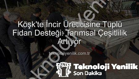 Köşk’te İncir Üreticisine Tüplü Fidan Desteği: Tarımsal Çeşitlilik Artıyor