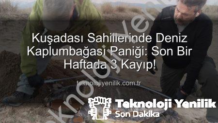 Kuşadası Sahillerinde Deniz Kaplumbağası Paniği: Son Bir Haftada 3 Kayıp!