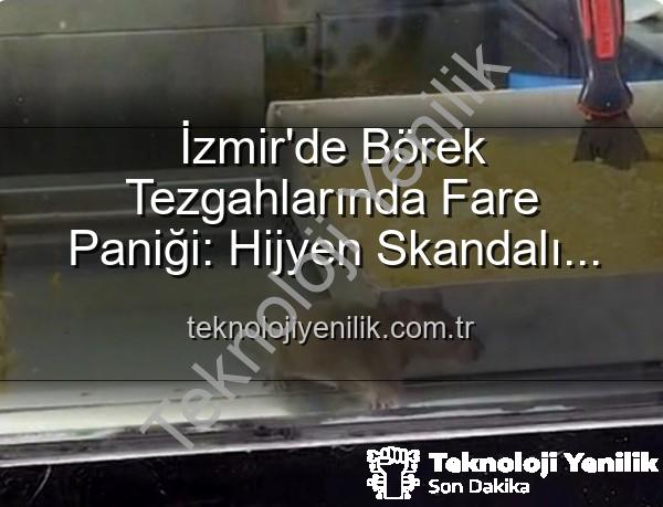 börek tezgahlarında fare - İzmir'de Börek Tezgahlarında Fare Paniği: Hijyen Skandalı Ortaya Çıktı, İşletme Mühürlendi