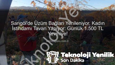 Sarıgöl’de Üzüm Bağları Yenileniyor: Kadın İstihdamında Yeni Bir Dönem Başlıyor
