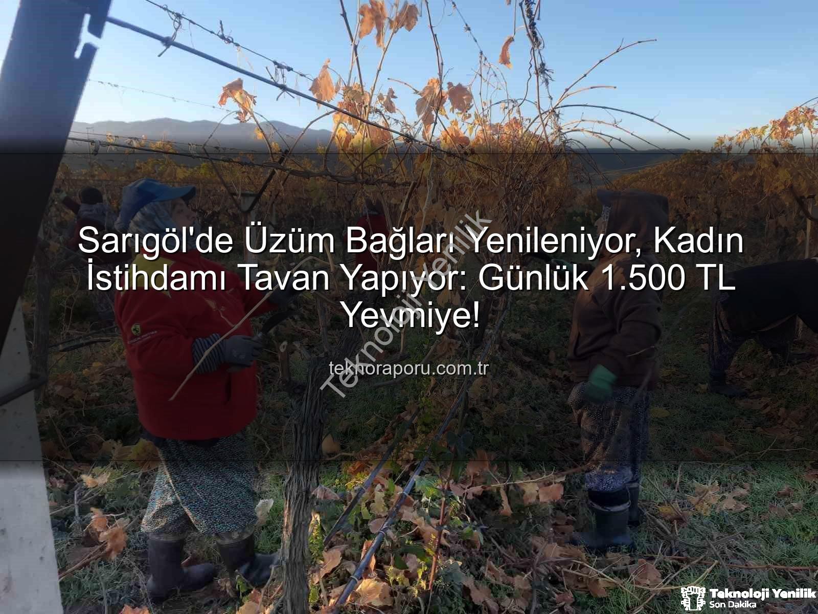 kadın istihdamı - Sarıgöl'de Üzüm Bağları Yenileniyor: Kadın İstihdamında Yeni Bir Dönem Başlıyor