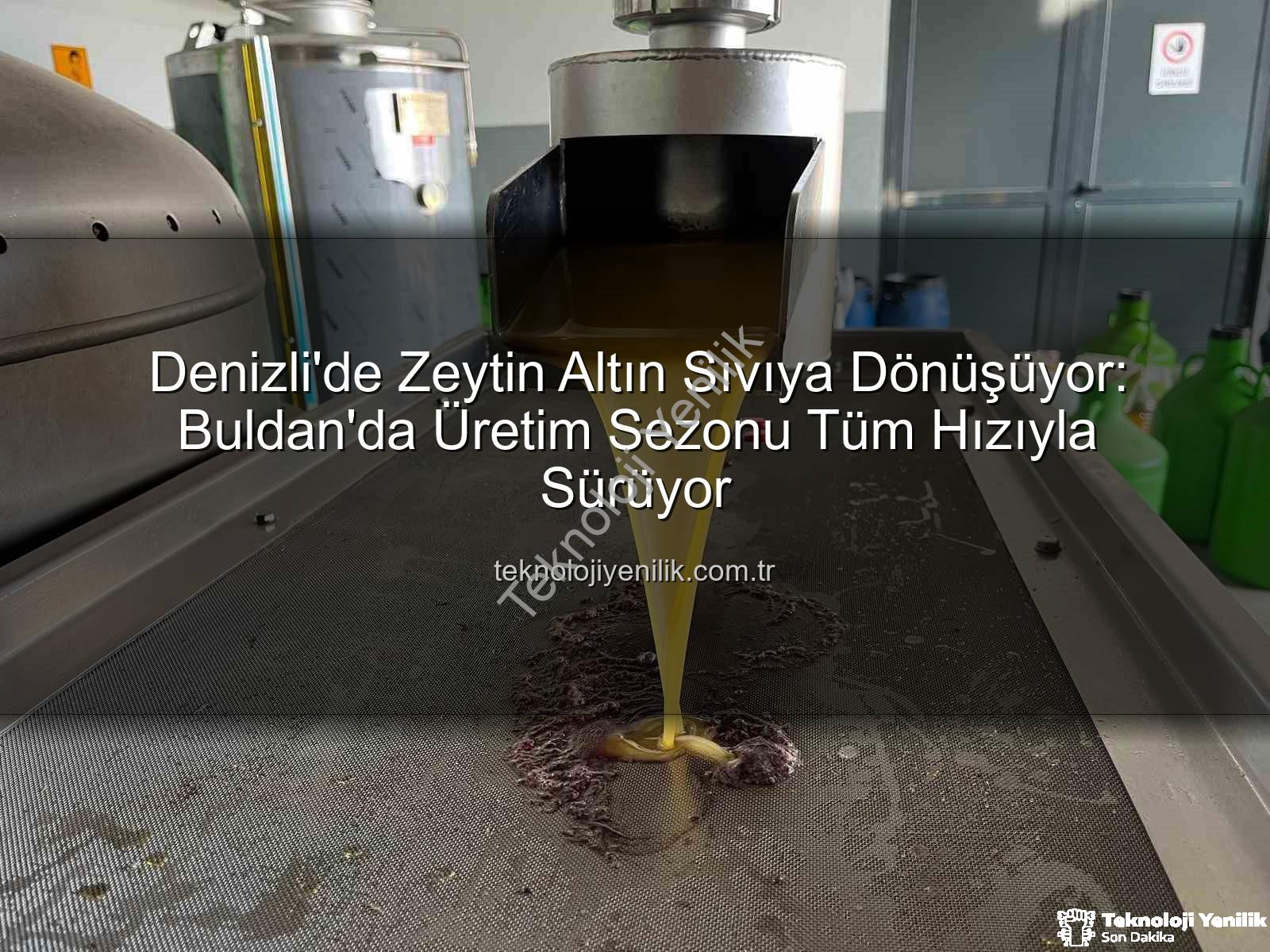 zeytinyağı üretimi - Denizli'de Zeytin Altın Sıvıya Dönüşüyor: Buldan'da Üretim Sezonu Tüm Hızıyla Sürüyor