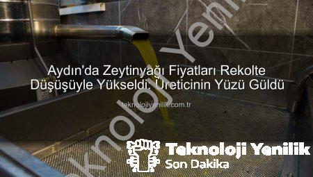 Aydın’da Zeytinyağı Fiyatları Rekolte Düşüşüyle Yükseldi: Üreticinin Yüzü Güldü