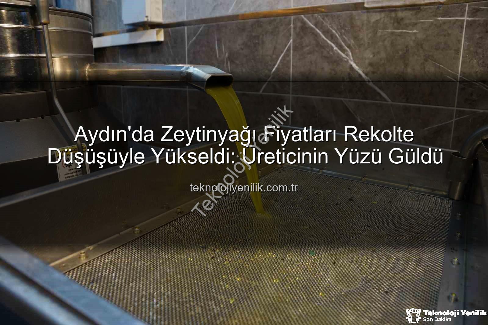 zeytinyağı fiyatları - Aydın'da Zeytinyağı Fiyatları Rekolte Düşüşüyle Yükseldi: Üreticinin Yüzü Güldü