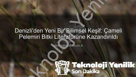 Denizli’den Yeni Bir Bilimsel Keşif: Çameli Pelemiri Bitki Literatürüne Kazandırıldı