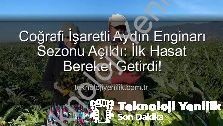 Coğrafi İşaretli Aydın Enginarı Sezonu Açıldı: İlk Hasat Bereket Getirdi!
