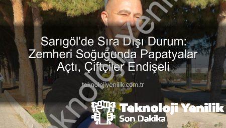 Sarıgöl’de Sıra Dışı Durum: Zemheri Soğuğunda Papatyalar Açtı, Çiftçiler Endişeli